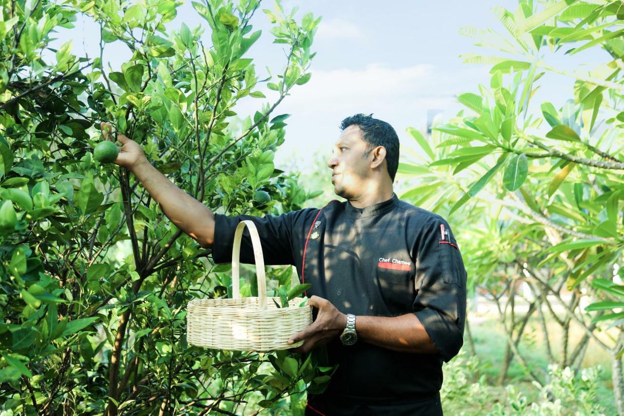 Avasta Resort And Spa Anuradhapura Luaran gambar